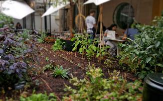 Urban rooftop farming